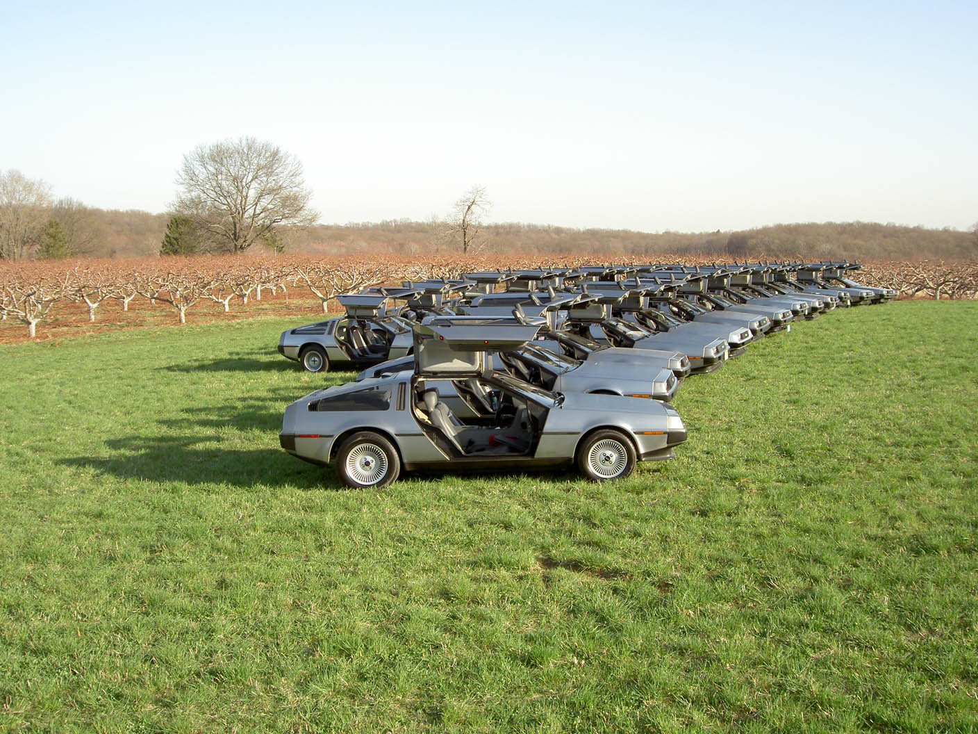 SS2005 Perspective 2
