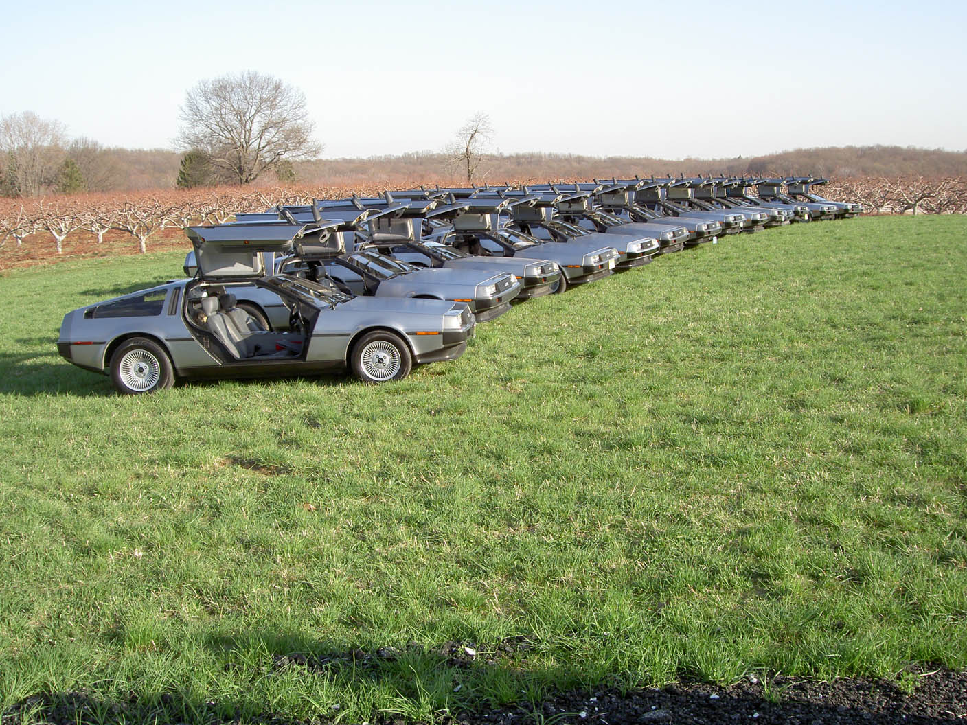 SS2005 Perspective
